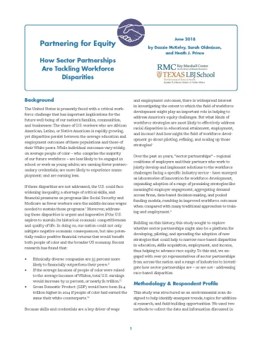 This is the first page of the Partnering for Equity report.