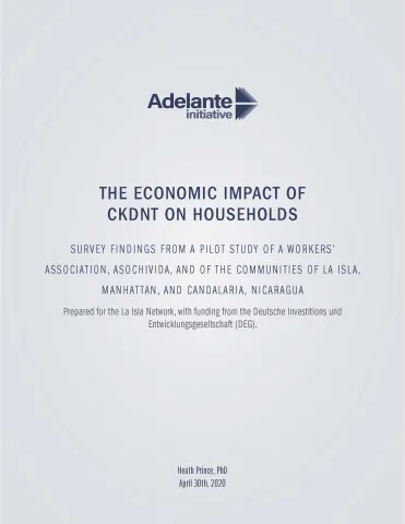 This is the report cover to The Economic Impact of CKDNT Households.