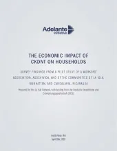 This is the report cover to The Economic Impact of CKDNT Households.
