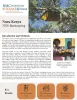 This image shows the first page of the Nuru Kenya 2026 Beekeeping report.  Aside from the text and graphics, there is a picture of a box containing a beehive hanging in a tree and two female cooperative members displaying processed honey ready for sale and local marketing.
