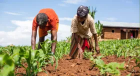 This is the report cover for Nuru Ethiopia 2023 Impact Report. It shows two Ethiopian farmers working in a field of an unknown crop.