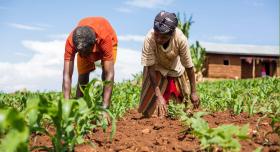 This is the report cover for Nuru Ethiopia 2023 Impact Report. It shows two Ethiopian farmers working in a field of an unknown crop.