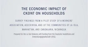This is the report cover to The Economic Impact of CKDNT Households.