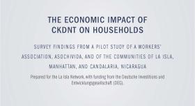 This is the report cover to The Economic Impact of CKDNT Households.