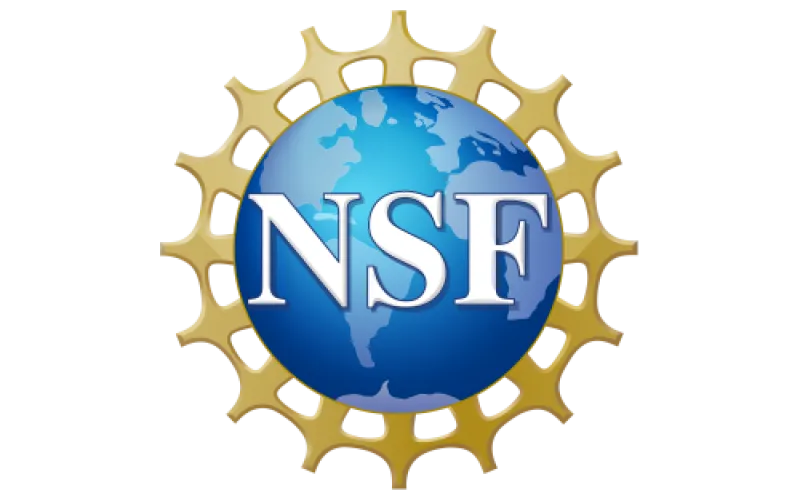 This is a logo for National Science Foundation.