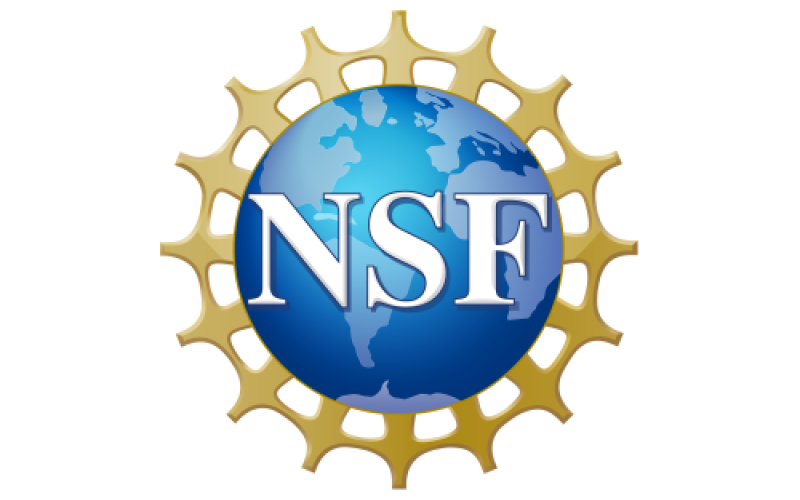 This is a logo for National Science Foundation.