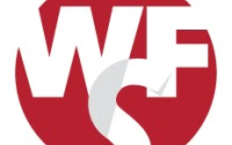 This is the Workforce Solutions Capital Area logo.