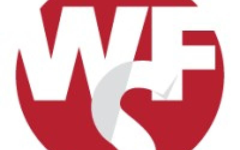 This is the Workforce Solutions Capital Area logo.